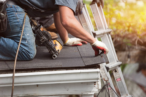 Best New Roof Installation  in Hidalgo, TX