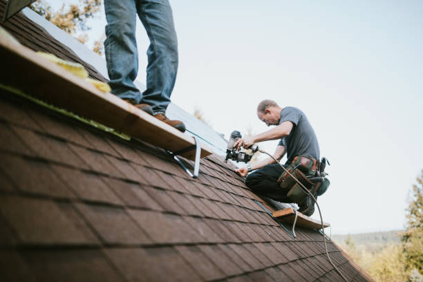 Roof Waterproofing Services in Hidalgo, TX
